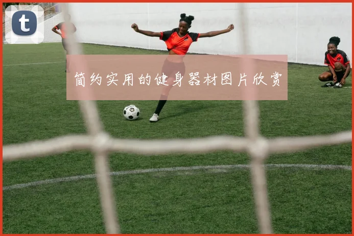 简约实用的健身器材图片欣赏